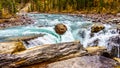 The turbulent turquoise water of the Sunwapta River as it tumbles down Sunwapta Falls in Jasper National Park Royalty Free Stock Photo