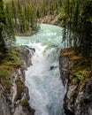 The turbulent turquoise water of the Sunwapta River in Jasper National Park Royalty Free Stock Photo