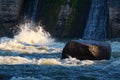 Turbulent water from a spillway of a large dam.