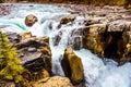 The turbulent water of the Sunwapta River as it tumbles down Sunwapta Falls Royalty Free Stock Photo