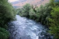 Zeta River, Montenegro Royalty Free Stock Photo