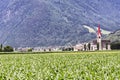 Tures in Aurina Valley in the alps, italy Royalty Free Stock Photo