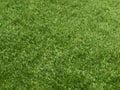 Turf Royalty Free Stock Photo