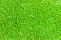 Turf background Royalty Free Stock Photo