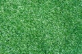 Turf background Royalty Free Stock Photo