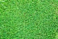 Turf Grass Background