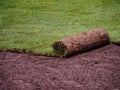 Turf grass roll