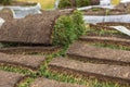 Turf grass roll, green grass carpet in roll for lawn. Stack of turf grass rolls for landscaping Royalty Free Stock Photo