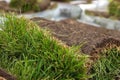 Turf grass roll, green grass carpet in roll for lawn. Stack of turf grass rolls for landscaping Royalty Free Stock Photo