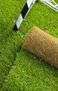 Turf grass roll on sport field - closeup