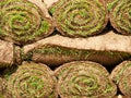 Turf grass rolls Royalty Free Stock Photo