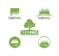 Turf Lawn And Garden Care Company Creative Design Element. Vector Grass And Tree Icon Set For Landscaping Company Royalty Free Stock Photo