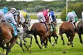 Turf Racing at Parx `A View from Behind`