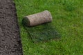 Turf roll or rolled lawn, land improvement. Green background, design element, copy space