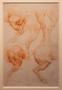 Leonardo da Vinci anatomical drawing on handmade cotton paper, Royal Library - Turin, Italy Royalty Free Stock Photo