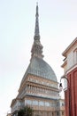 Turin, Mole antonelliana