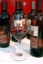 Turin, Piedmont/Italy -10/24/2009- The `Wineshow Fair`. Bottles and glass of red wine Barbera.