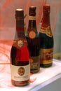 Turin, Piedmont/Italy. -10/24/2009- The Wineshow. Bottles of sparkling red wine Brachetto