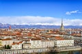Turin (Torino) panorama with Mole Antonelliana