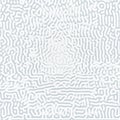 Turing morphogenesis reaction diffusion pattern