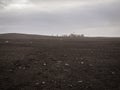 Turists on abandoned crashed plane in Iceland in black sand desert