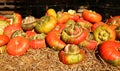 Turk Turban Squash at market place Royalty Free Stock Photo