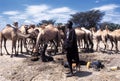 Turkana shepherd Royalty Free Stock Photo