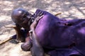 A Turkana shepherd sleeping Royalty Free Stock Photo