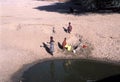 Turkana women at water source Royalty Free Stock Photo