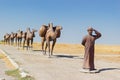 Monument of a caravan of camels near Medieval Mausoleum of Khoja Ahmed Yasawi, Silk Road Tour