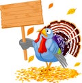 Turkey Royalty Free Stock Photo