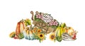 Autumn composition with pumpkins and wheelbarrow with flowers, hand drawn watercolor illustration.