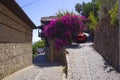 View of a beautiful narrow street with flowering plants in the old town