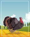 Turkey animal farm in the camp scene