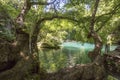 Turkey Antalya Kursunlu Waterfall view. Travel concept photo