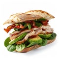 Turkey, avocado, and bacon sandwich with spinach on a ciabatta roll, white background Royalty Free Stock Photo
