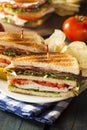 Turkey and Bacon Club Sandwich Royalty Free Stock Photo