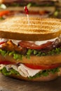 Turkey and Bacon Club Sandwich Royalty Free Stock Photo