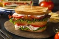 Turkey and Bacon Club Sandwich Royalty Free Stock Photo