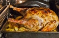 Turkey is baked in the oven closeup Royalty Free Stock Photo