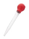 Turkey Baster (clipping path) Royalty Free Stock Photo