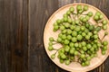 Turkey berry or Pea Eggplant Royalty Free Stock Photo