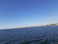 Turkey Beysehir lake view seagull