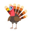 Turkey bird animal cartoon character vector illustration