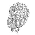 Turkey bird coloring pages for children