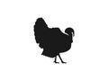 Turkey, bird icon. Vector illustration, flat design Royalty Free Stock Photo