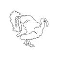 Turkey bird one line art. Continuous line drawing of poultry, domestic animal.