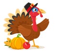 Turkey bird with pumpkin and corn shows a place for text. Thanksgiving day