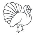 Turkey bird thin line icon, animal and farm, poultry sign, vector graphics, a linear pattern on a white background. Royalty Free Stock Photo