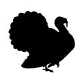 Turkey bird vector silhouette Royalty Free Stock Photo